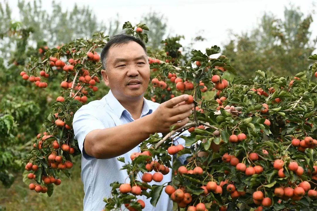我市再添一批乡土人才省级载体平台1.jpg