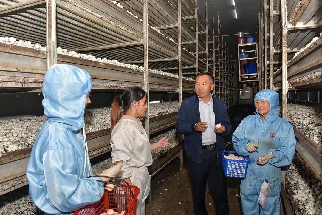 我市再添一批乡土人才省级载体平台2.jpg